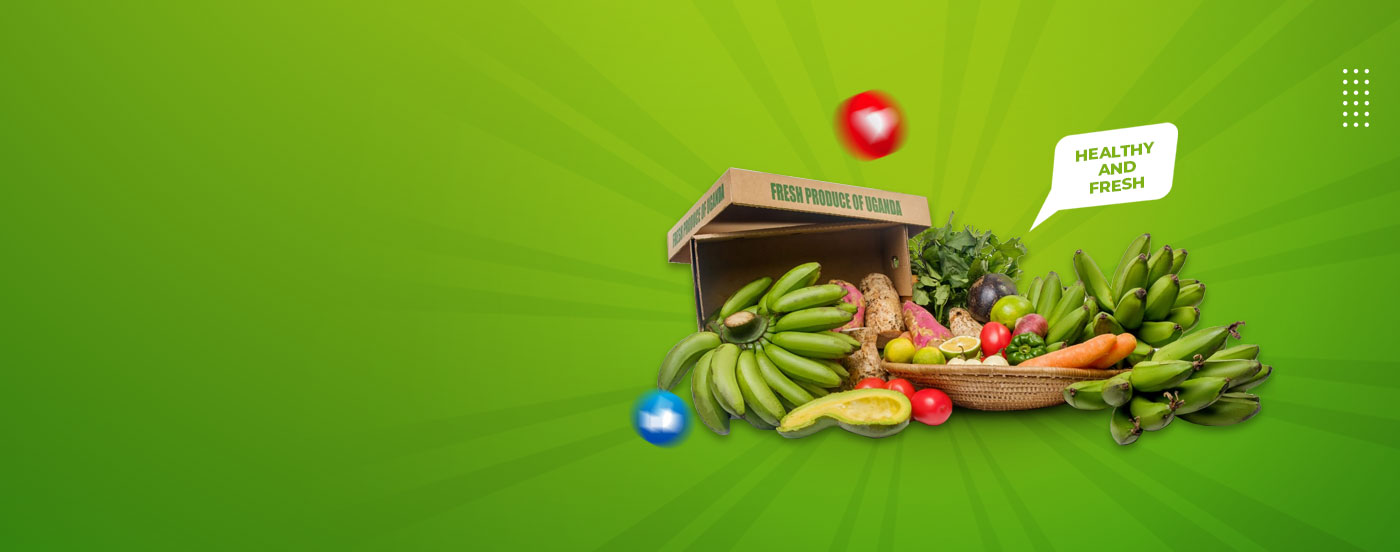 Fresh and Organic Food - Uga Fresh