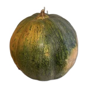 African Pumpkin (Whole)