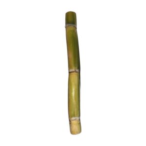 Fresh Sugarcane Stick