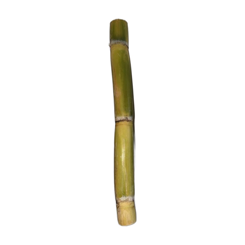 Fresh Sugarcane Stick Fresh Sugarcane Stick